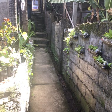 Cullen's garden
