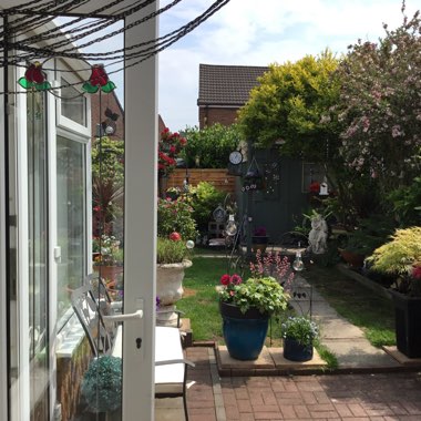 Pauline's garden