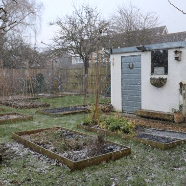 Karen's garden