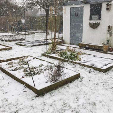 Karen's garden