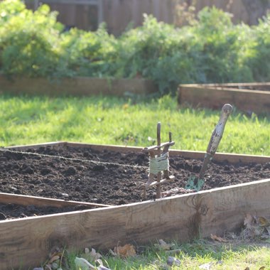 Karen's garden