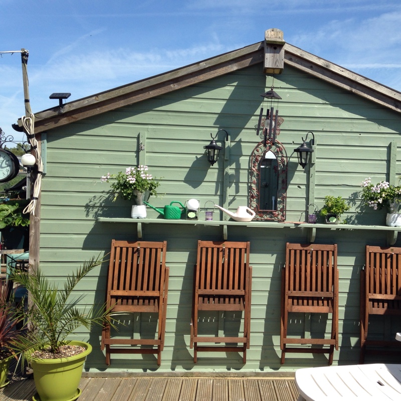 Thelma's garden