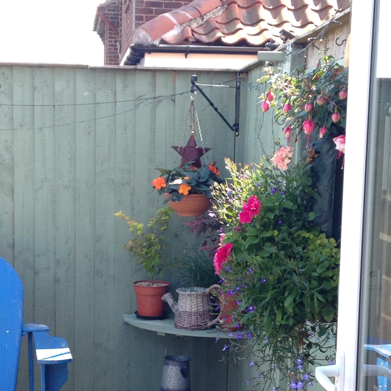 Thelma's garden