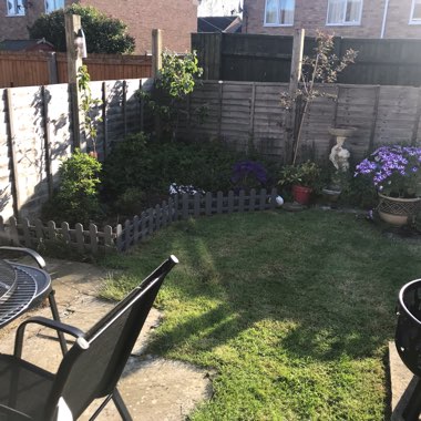 Samii's garden