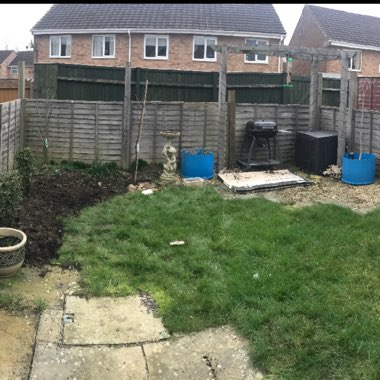 Samii's garden
