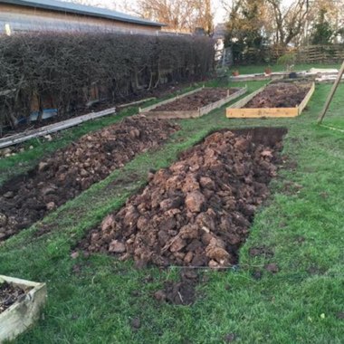 Helen's garden