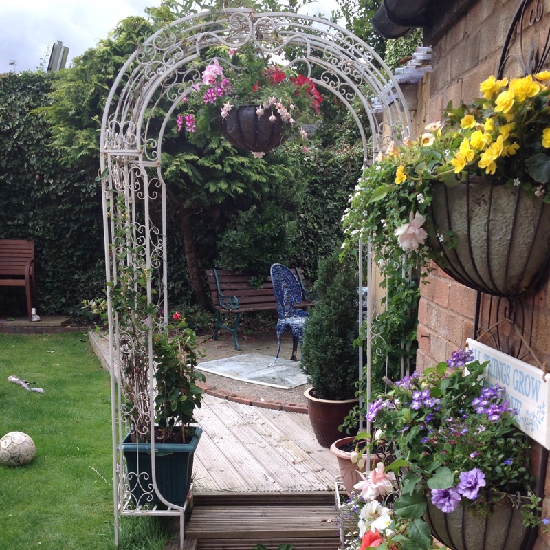 Tina's garden