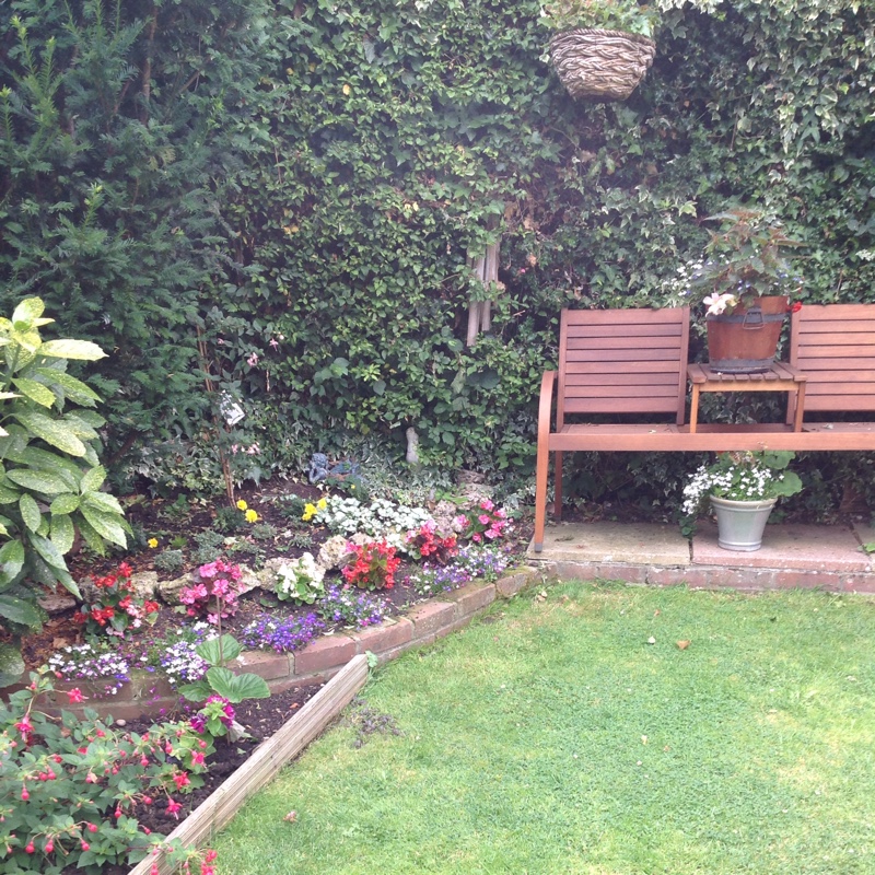 Tina's garden