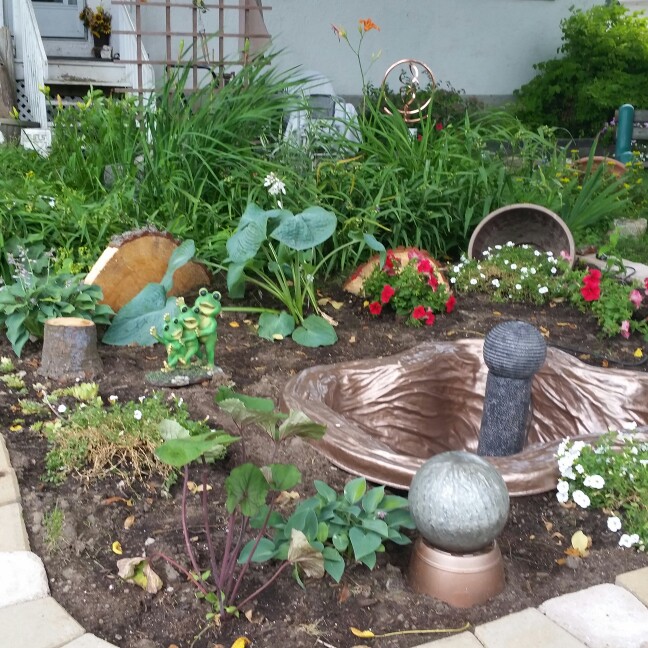 Tina's garden