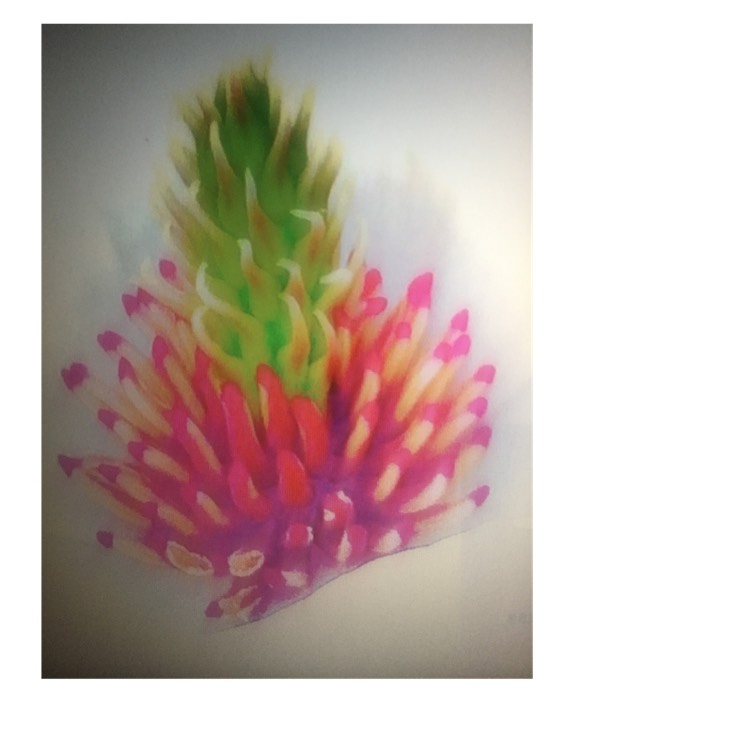 plant image 578159