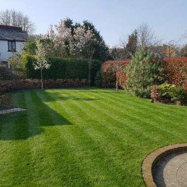 Garden 's garden