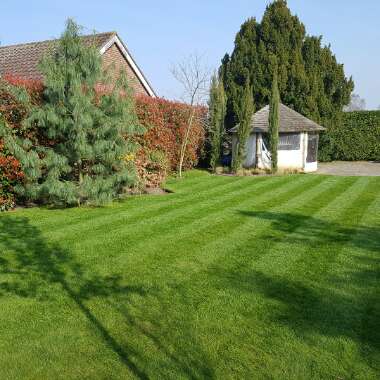 Garden 's garden