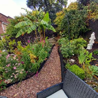 Lucy's garden