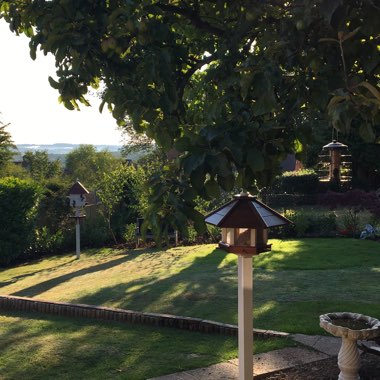 Christine's garden