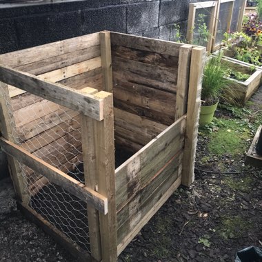 Tracy's garden