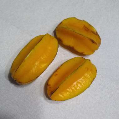 Averrhoa Carambola