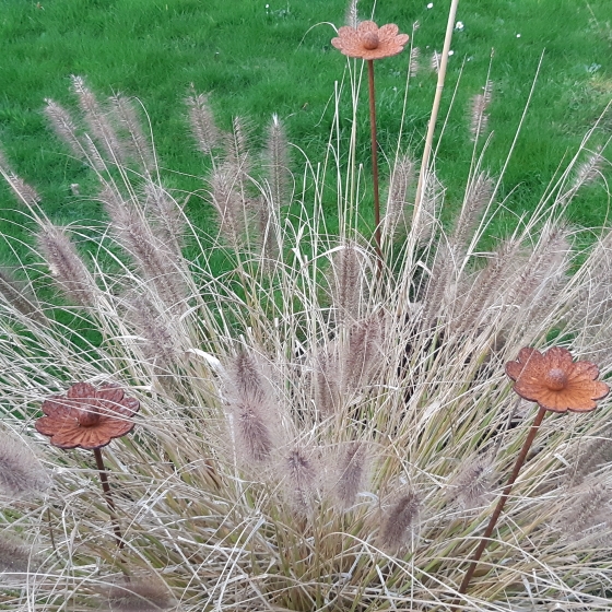 plant image 906729