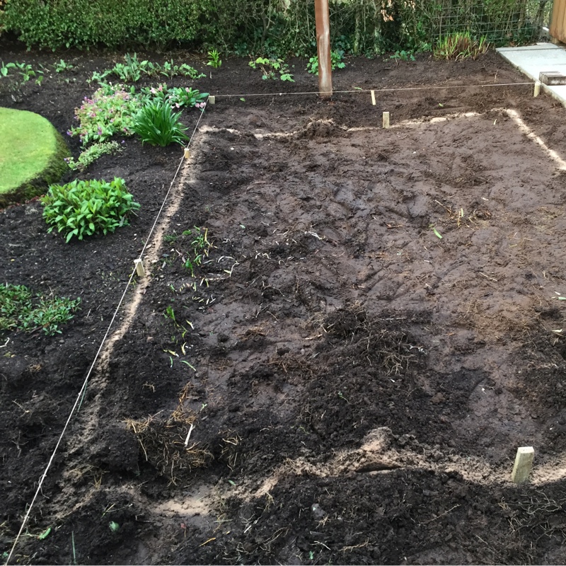 Trevor's garden