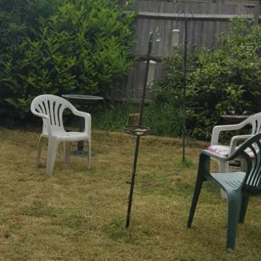 Teresa's garden