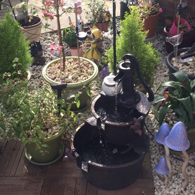 Ursula's garden