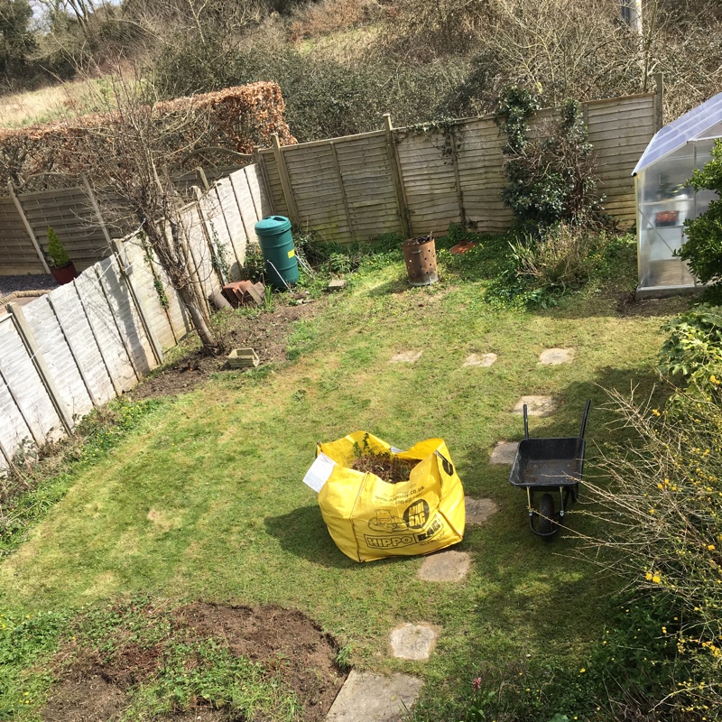 Aaron's garden