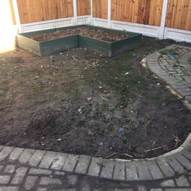 Vanesa's garden