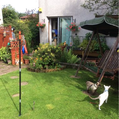 Audrey's garden