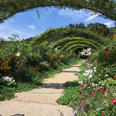 Emma's garden