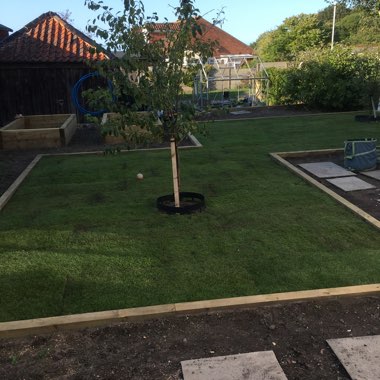 Emma's garden