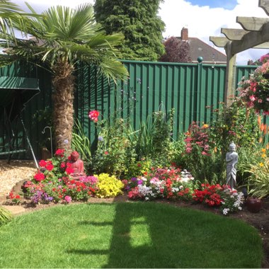 Veronica's garden