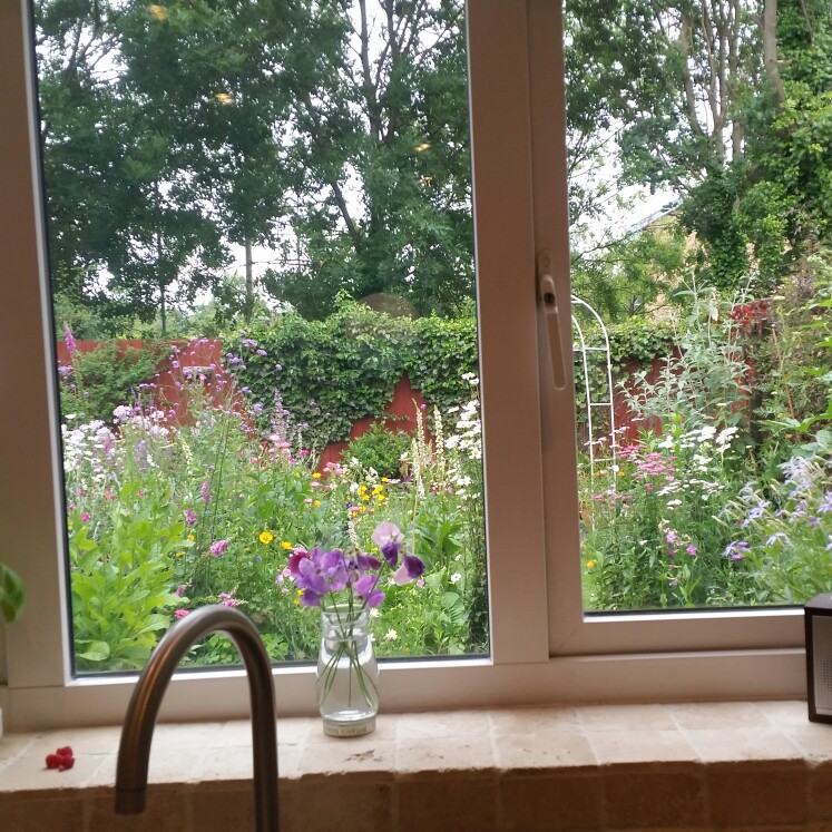 Victoria's garden
