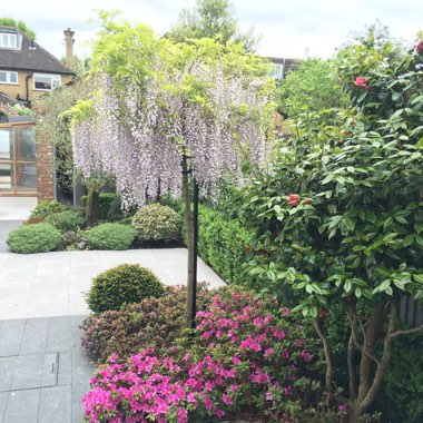 Joao's garden