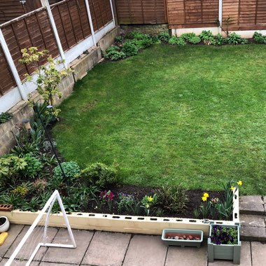 John's garden
