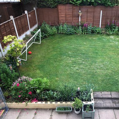 John's garden