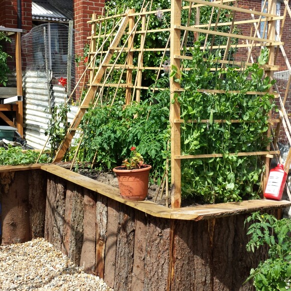 Nicky's garden