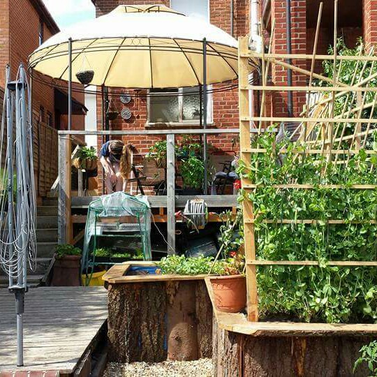 Nicky's garden