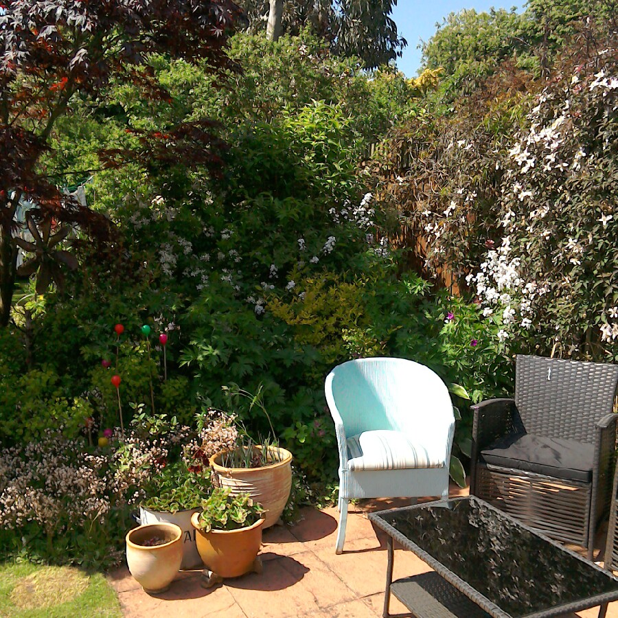 Ann's garden