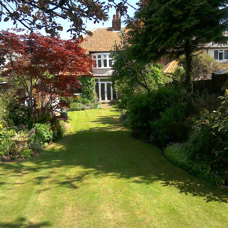 Ann's garden