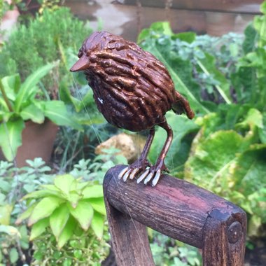 Wendi's garden