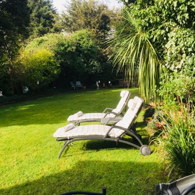Elaine's garden