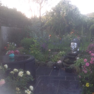 Tracey's garden