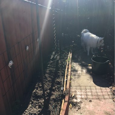 Lynda's garden