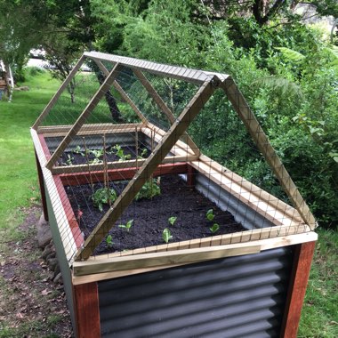 Kit's garden
