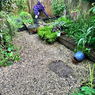Wayne and Becky's garden