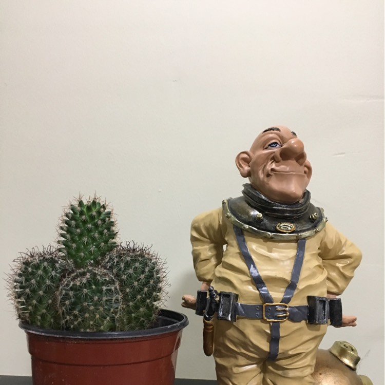 Plant image Turbinicarpus